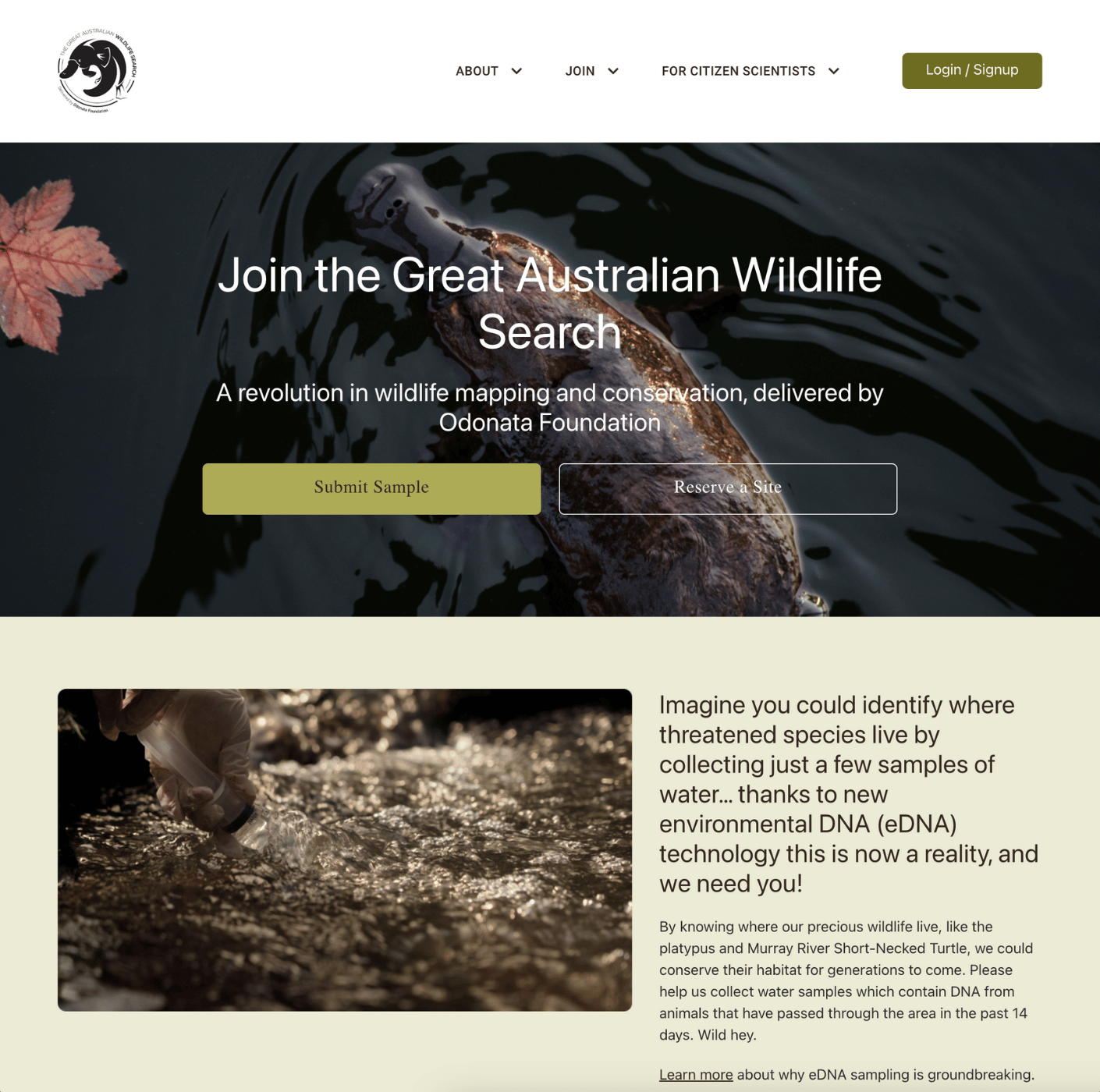 Great Australian Wildlife Seearch homepage