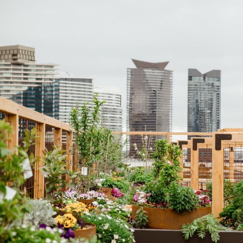 Melbourne Skyfarm. Photo by Melbourne Skyfarm.