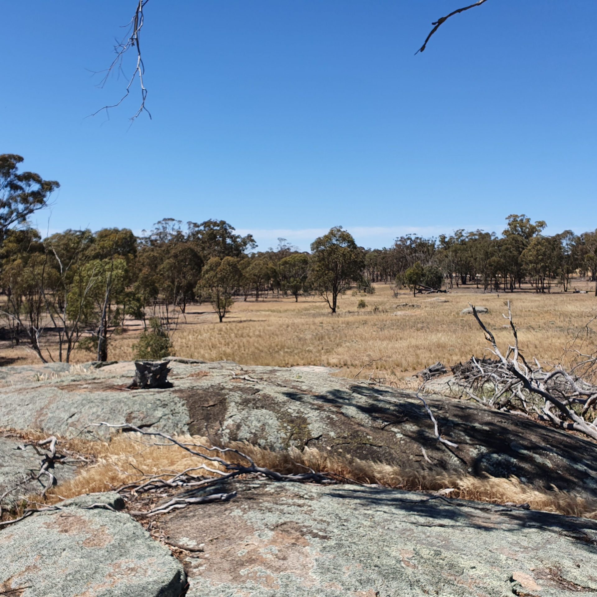 Orana Park Sanctuary