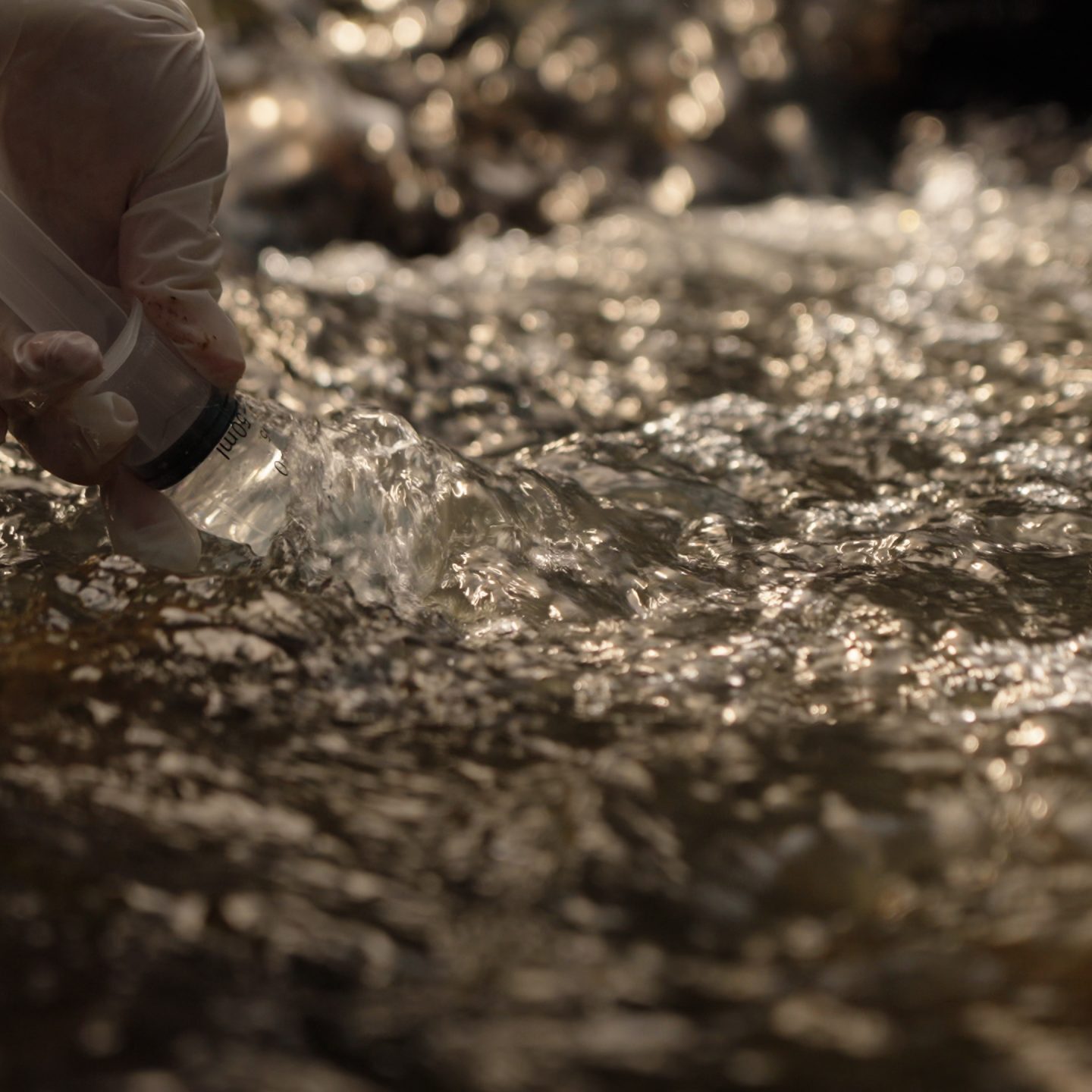 eDNA sampling. Photo by Streamline Media