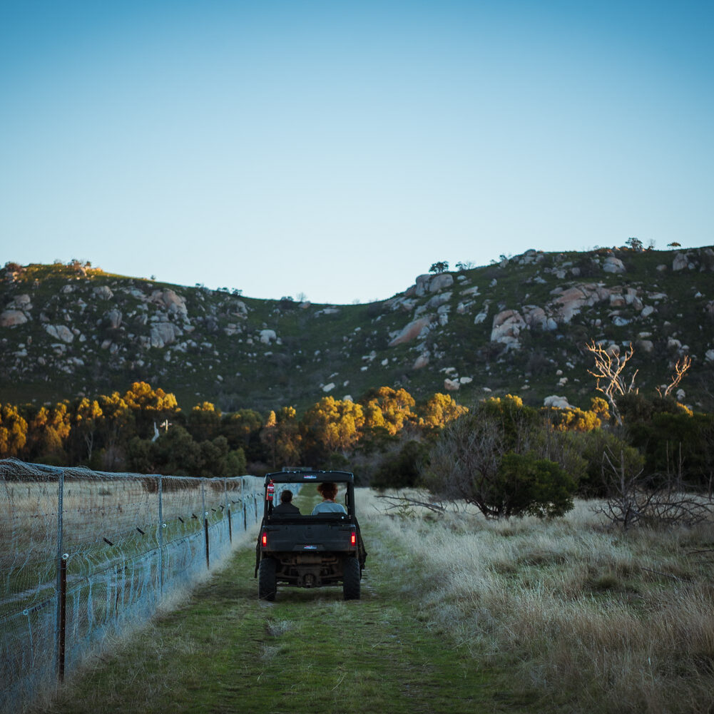 Mt Rothwell. Photo by Annette Ruzicka